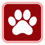 Pets